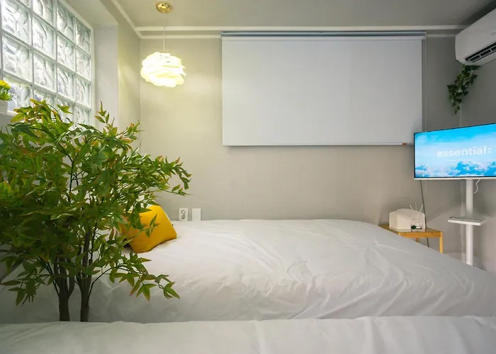Staysolar
