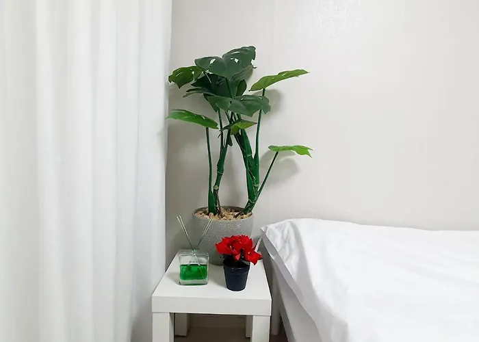Staysolar Appartement